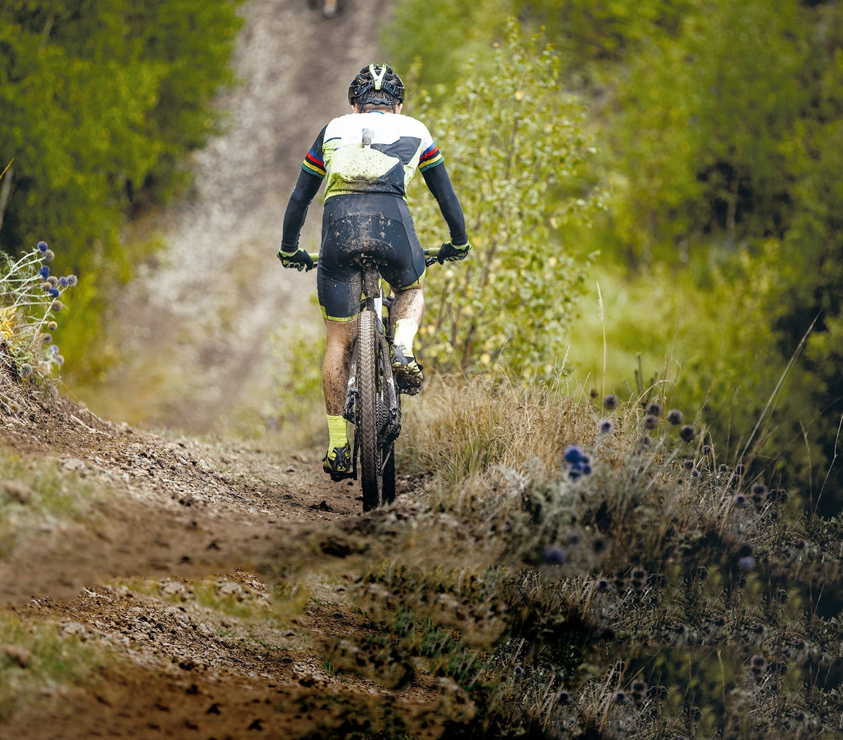 Mountainbiker auf einem schmalen Waldweg