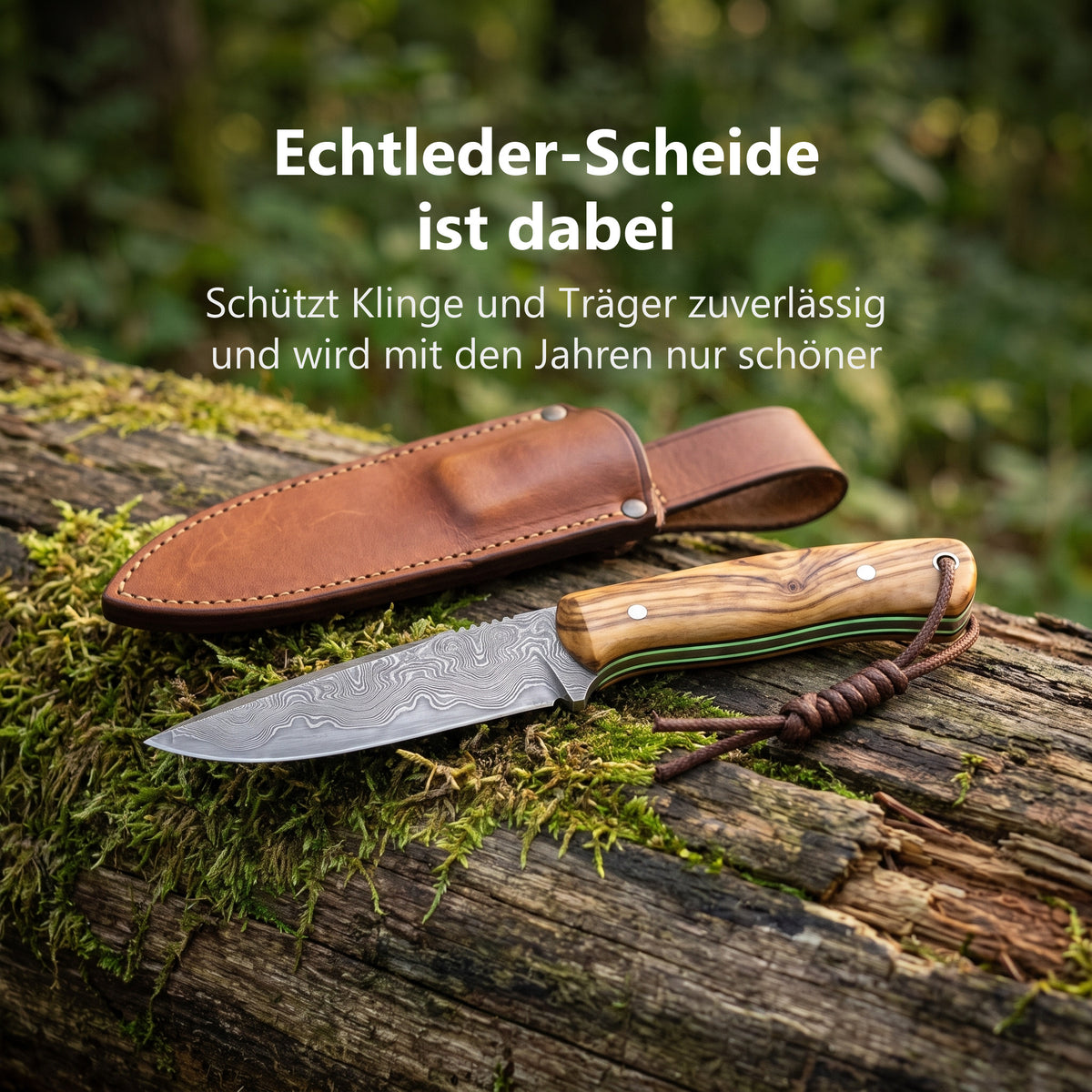 Wildglow Outdoormesser mit brauner Echtleder-Guertelscheide auf einem Baumstamm